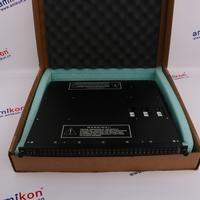 TRICONEX 3003 Distributed Control System (DCS)  | sales2@amikon.cn 